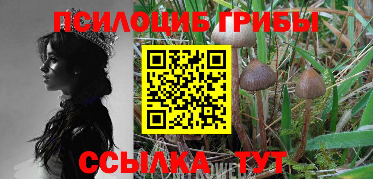 Псилоцибиновые грибы мицелий Рубцовск